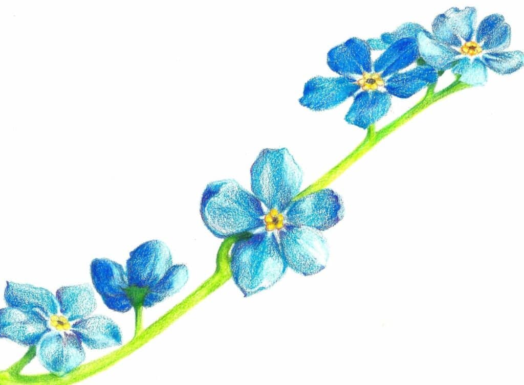 Samenwerking met Ouderenopvang